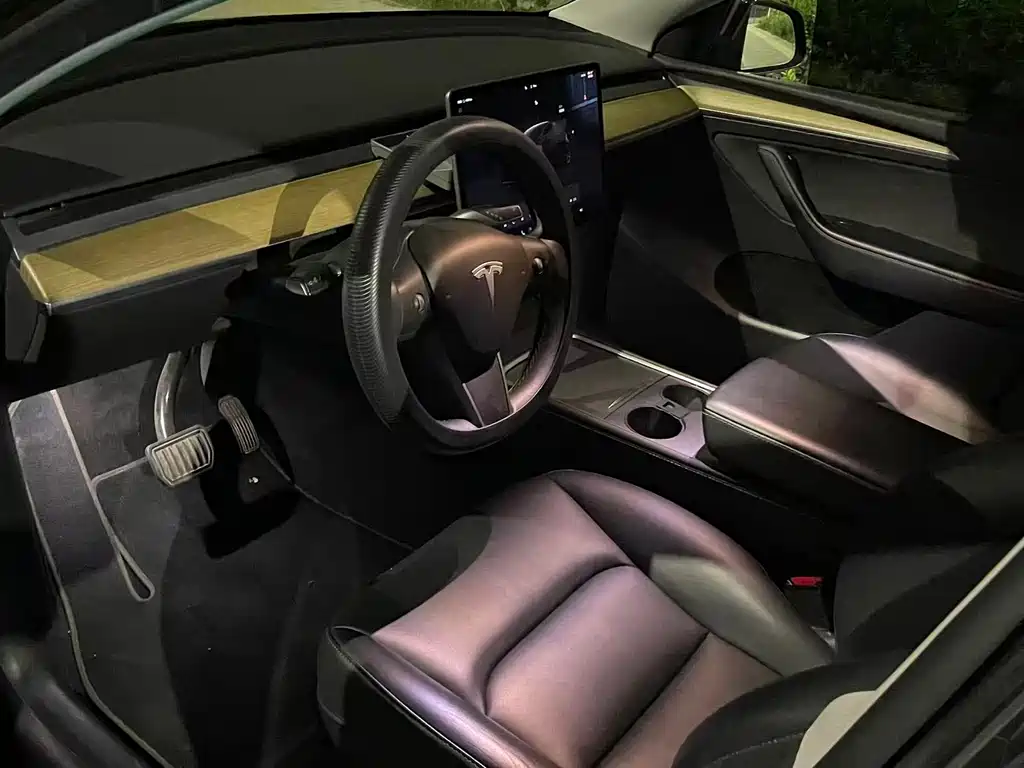 Tesla Model Y — миниатюра 4