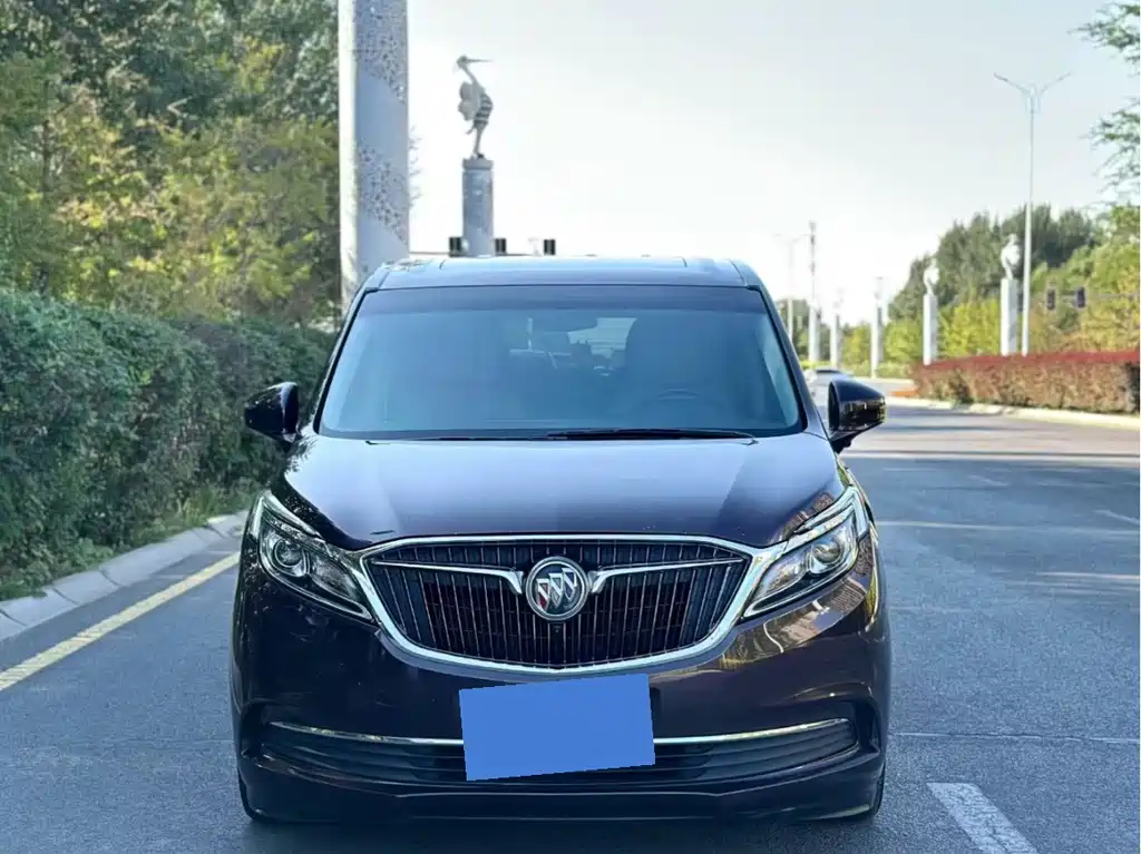 Buick GL8 — миниатюра 2