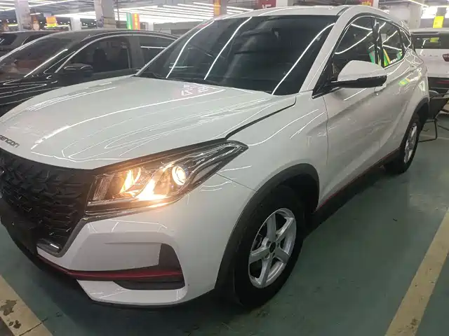 dongfeng scenery-500