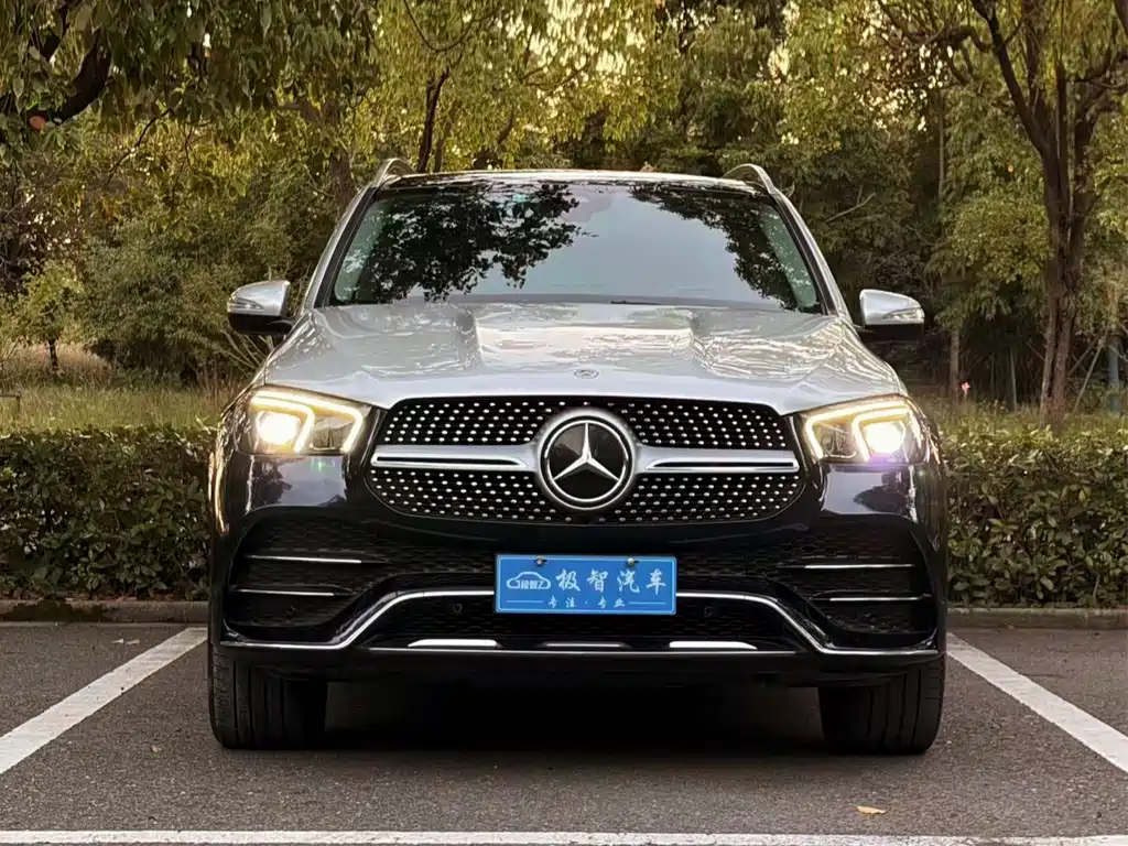 Mercedes-Benz GLE New Energy — миниатюра 2