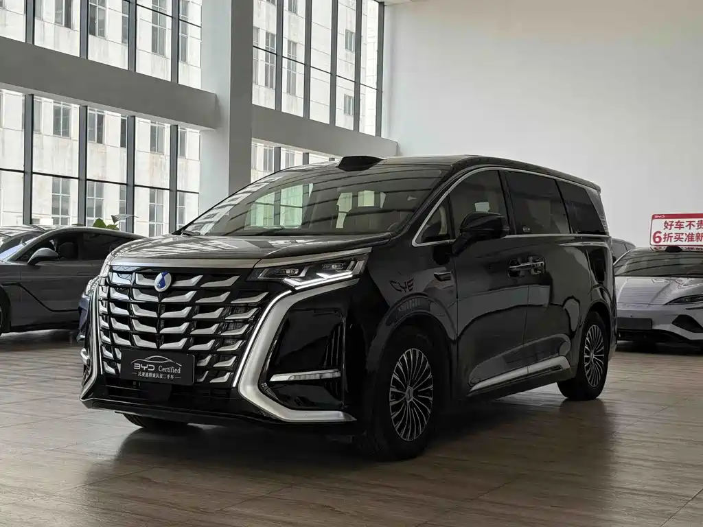 Denza Denza D9