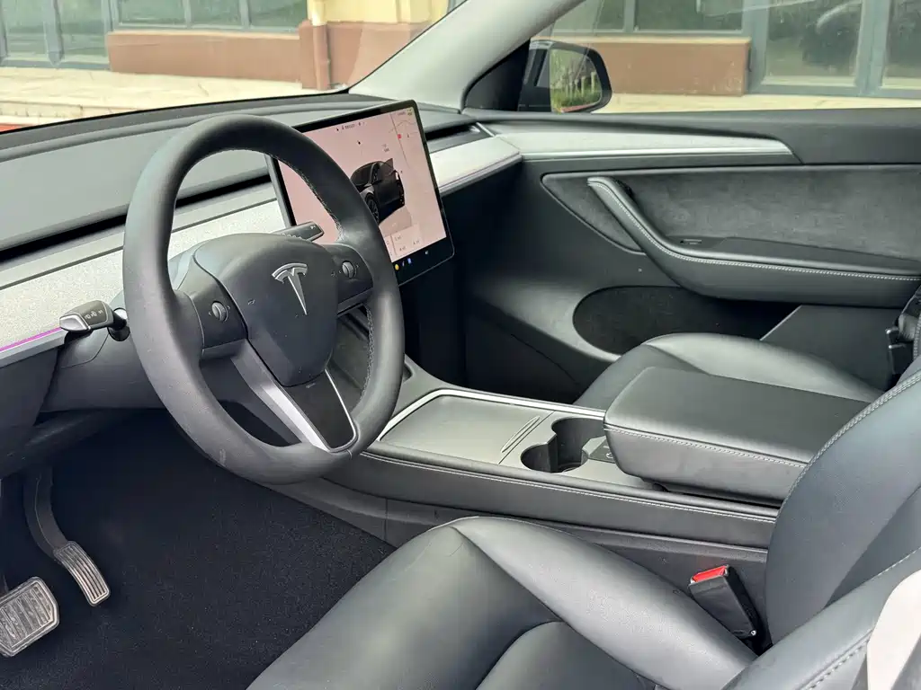 Tesla Model Y — миниатюра 4