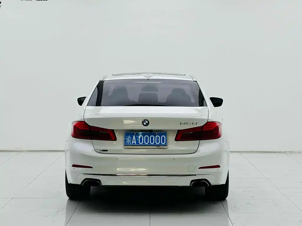 BMW 5 Series 5 2018 530Li Premium Luxury