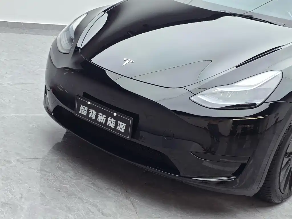 Tesla Model Y — миниатюра 2