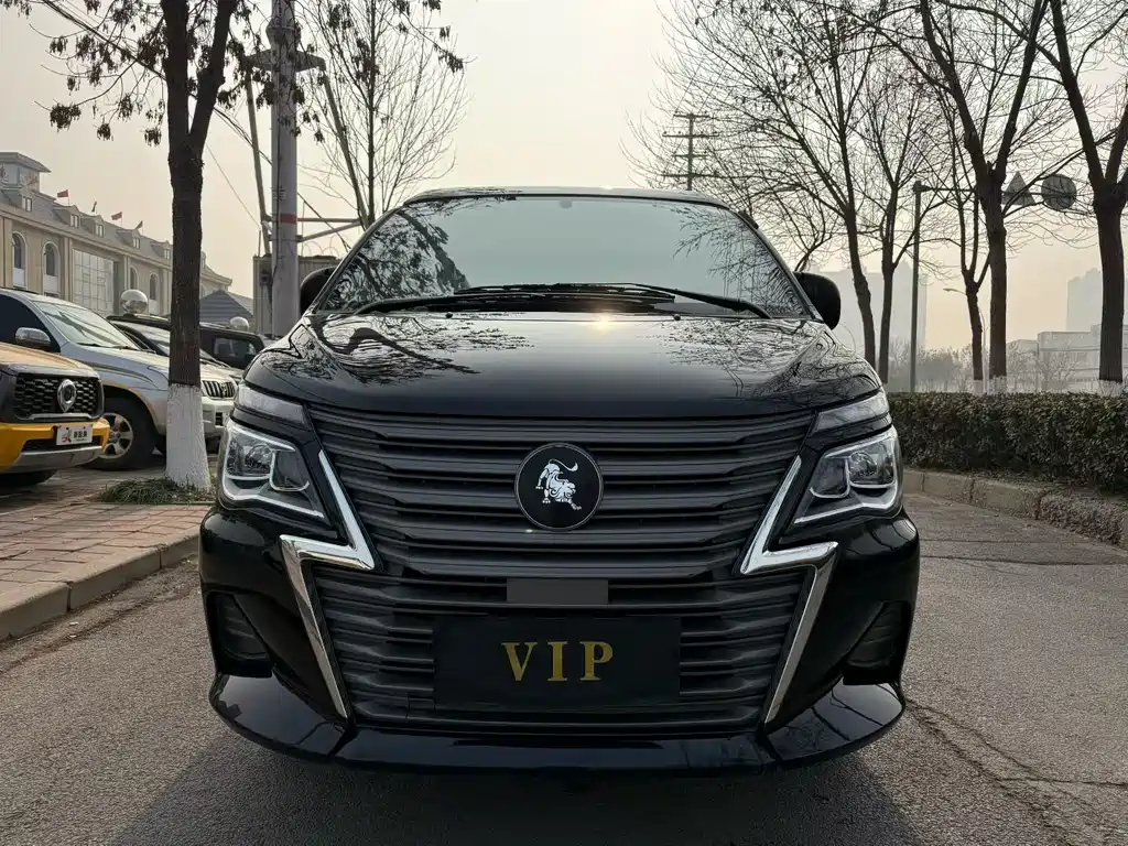DONGFENG LINGZHI