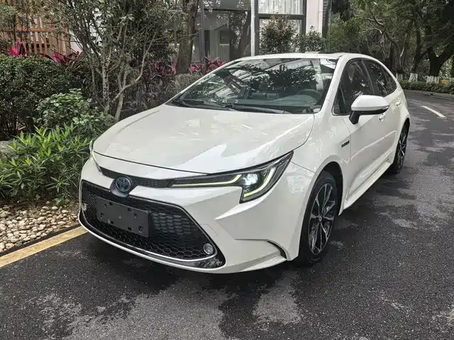 TOYOTA LEI LING 2020