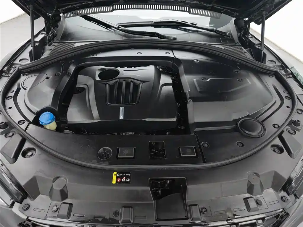 WEI PAI WEI BRAND VV7