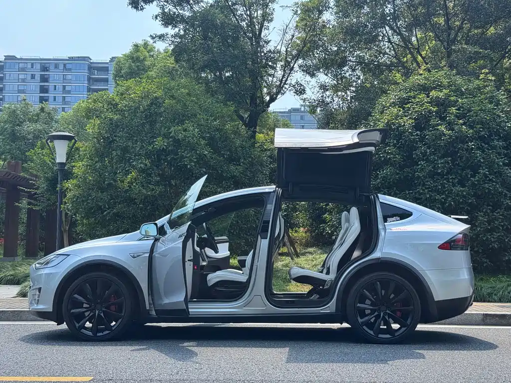 Tesla Model X — миниатюра 4
