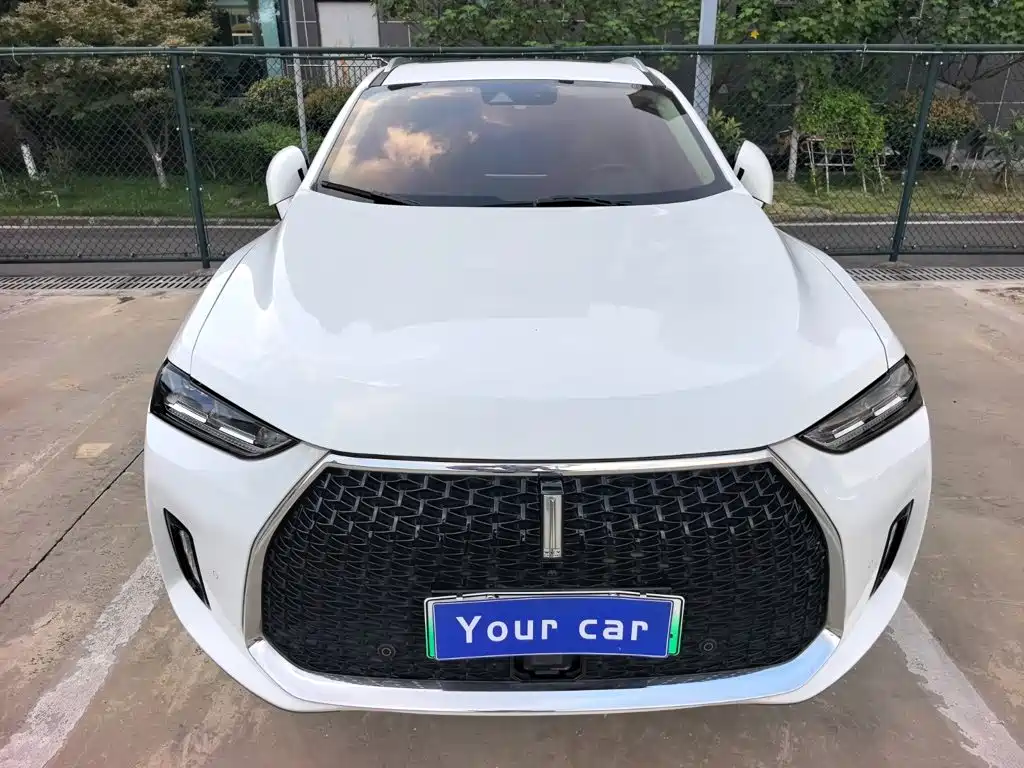 Wey Wey P8 — миниатюра 2