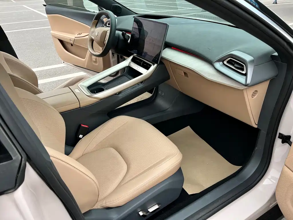 ARCFOX EXTREME FOX POLAR FOX ALPHA S5