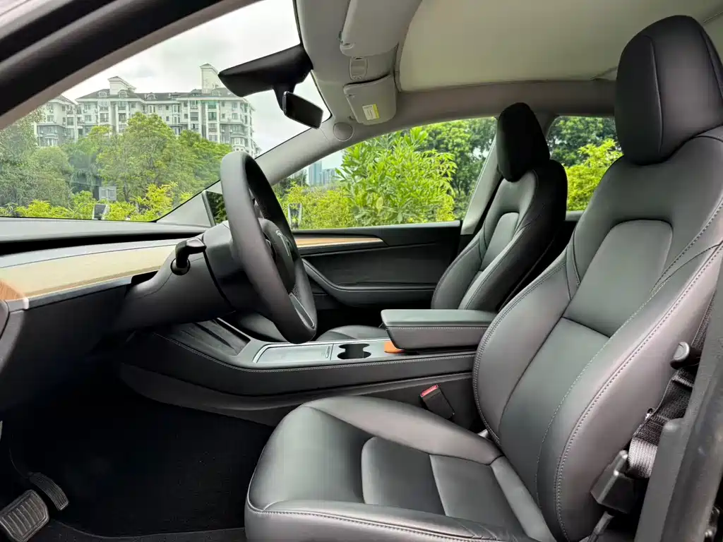Tesla Model Y — миниатюра 9