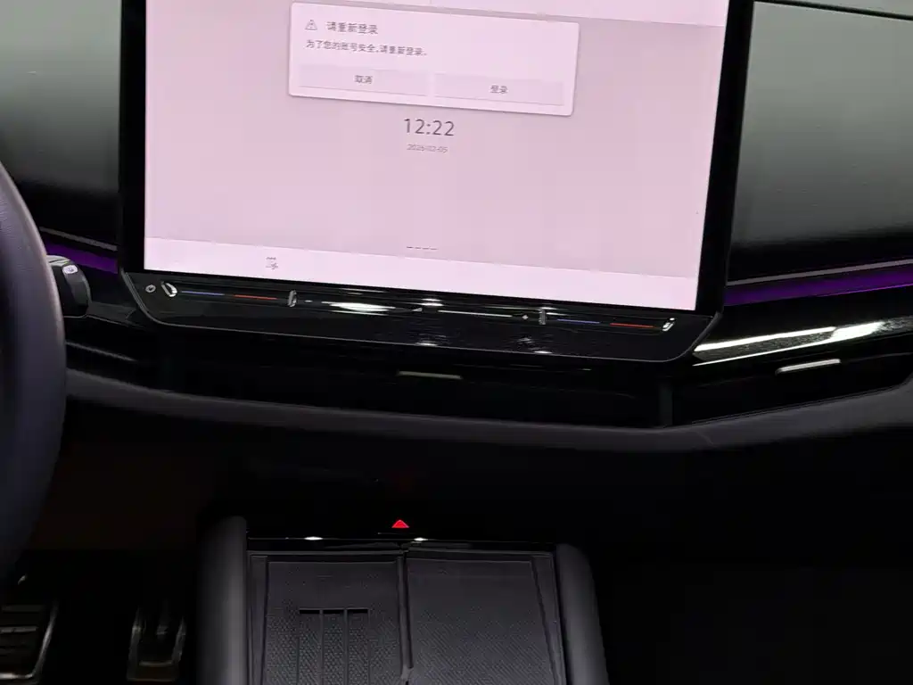 VOLKSWAGEN WITH THE CROWD 06