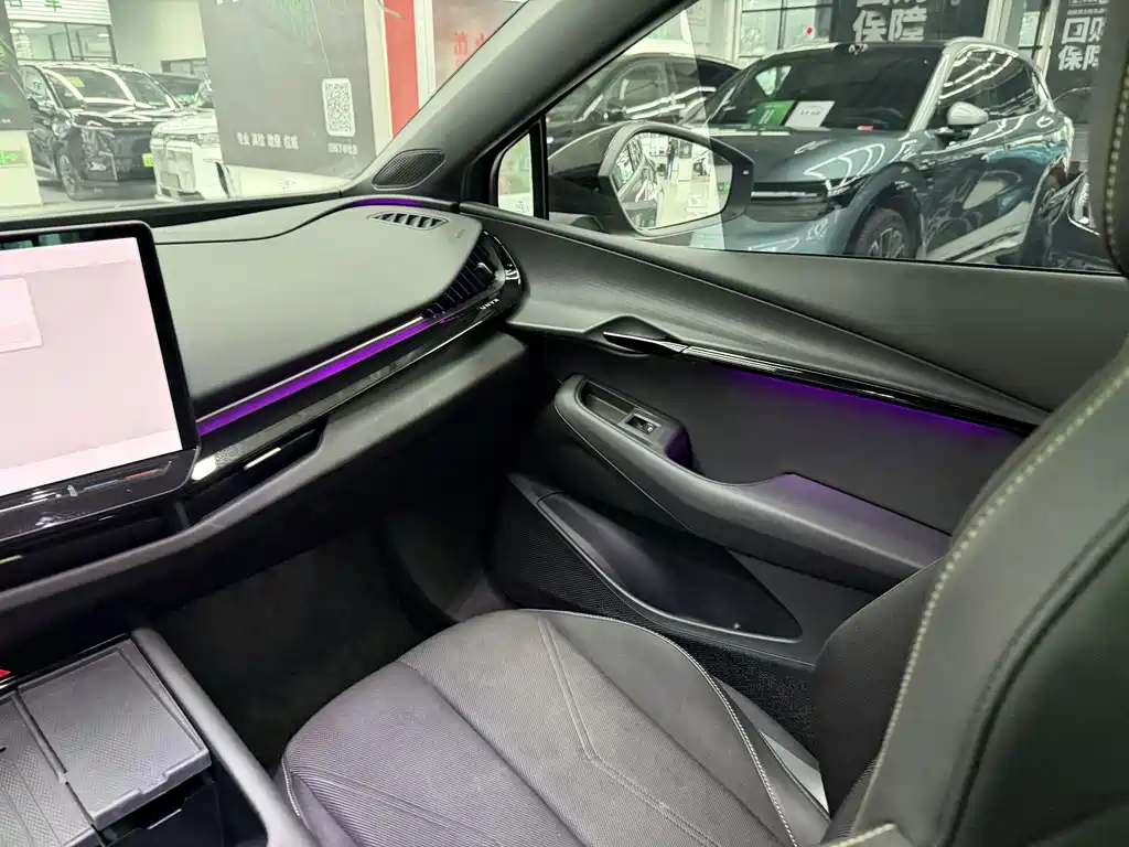 VOLKSWAGEN WITH THE CROWD 06