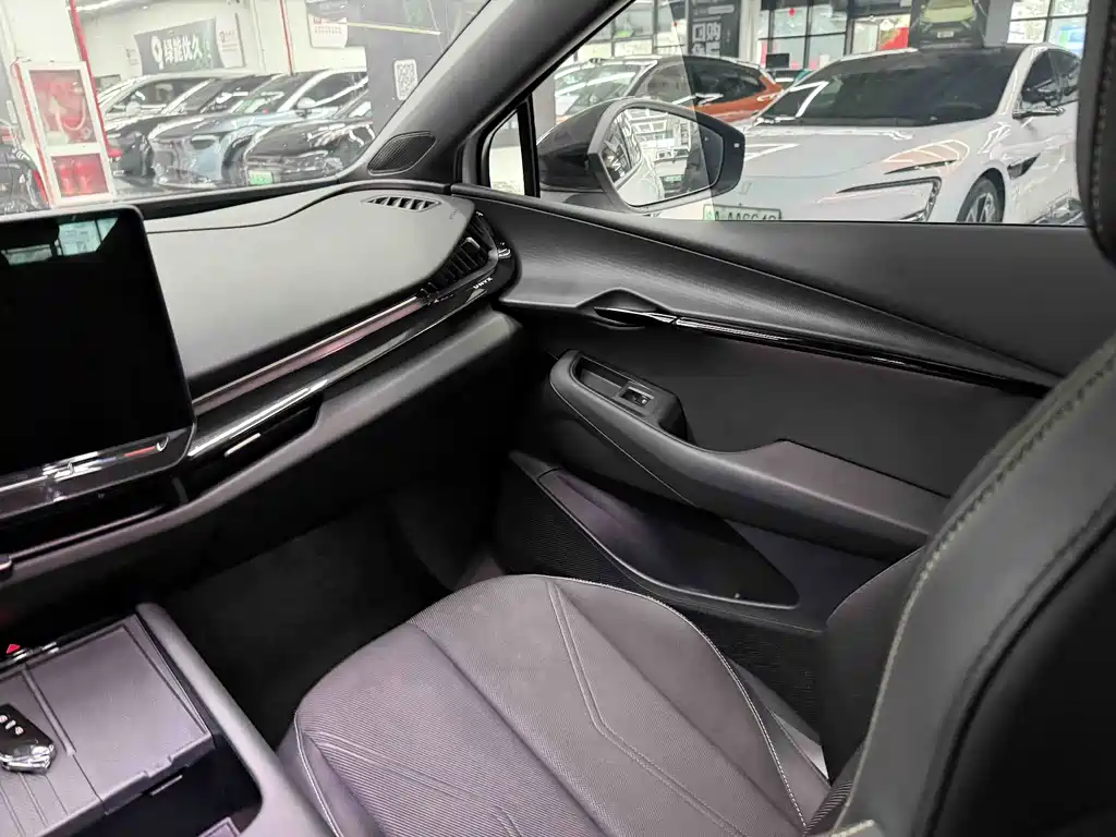 VOLKSWAGEN WITH THE CROWD 06