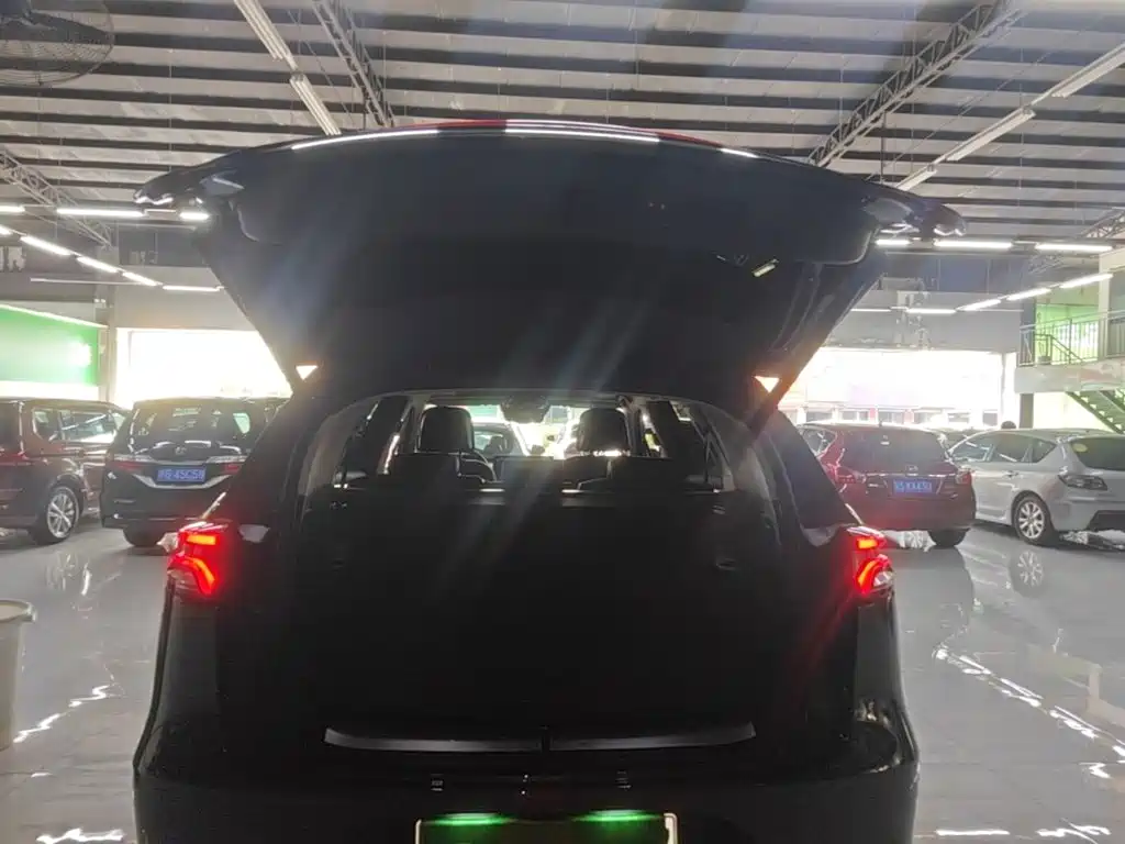 BYD Tang New Energy — миниатюра 19