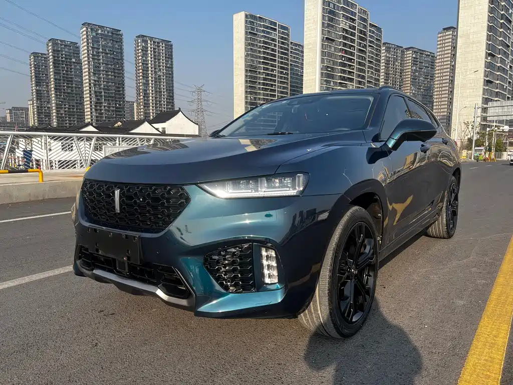 WEI PAI WEI BRAND VV7