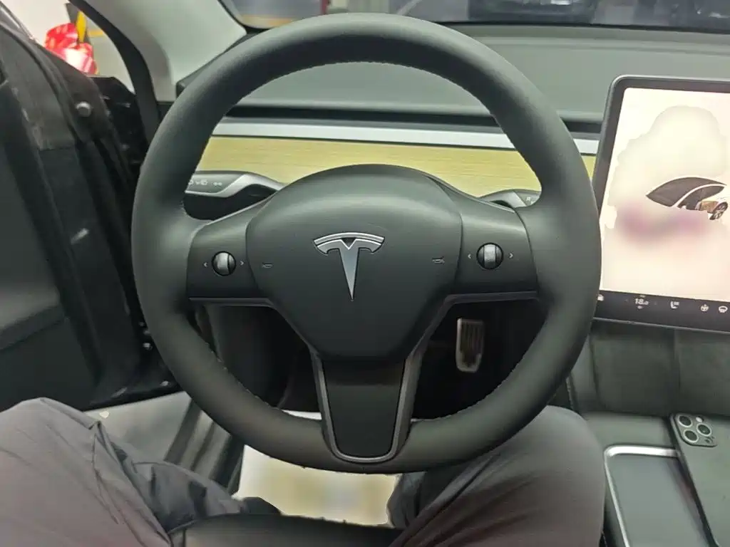 Tesla Model Y — миниатюра 11