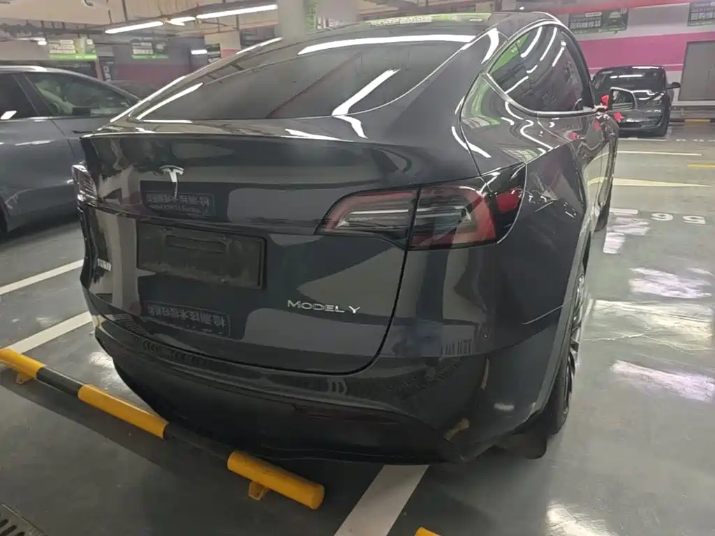 Tesla Model Y — миниатюра 6