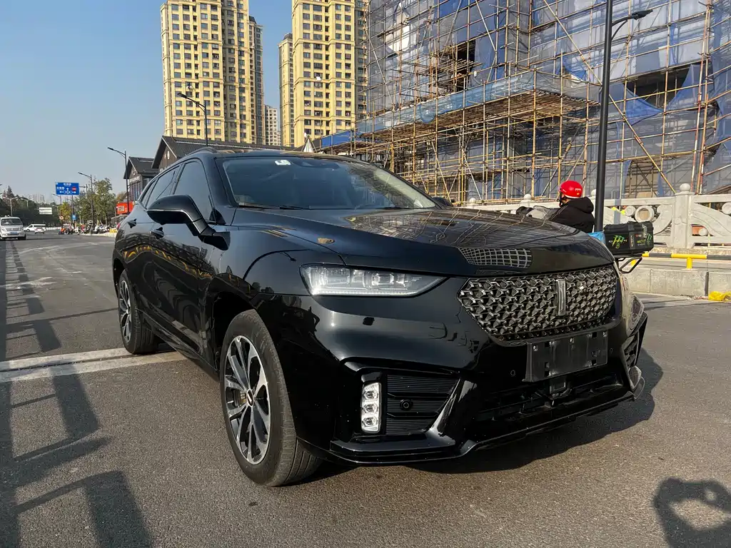 WEI PAI WEI BRAND VV7