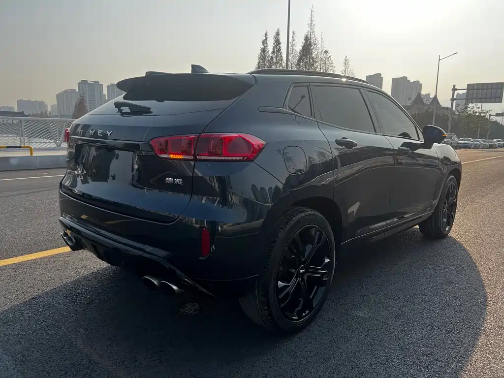 WEI PAI WEI BRAND VV7