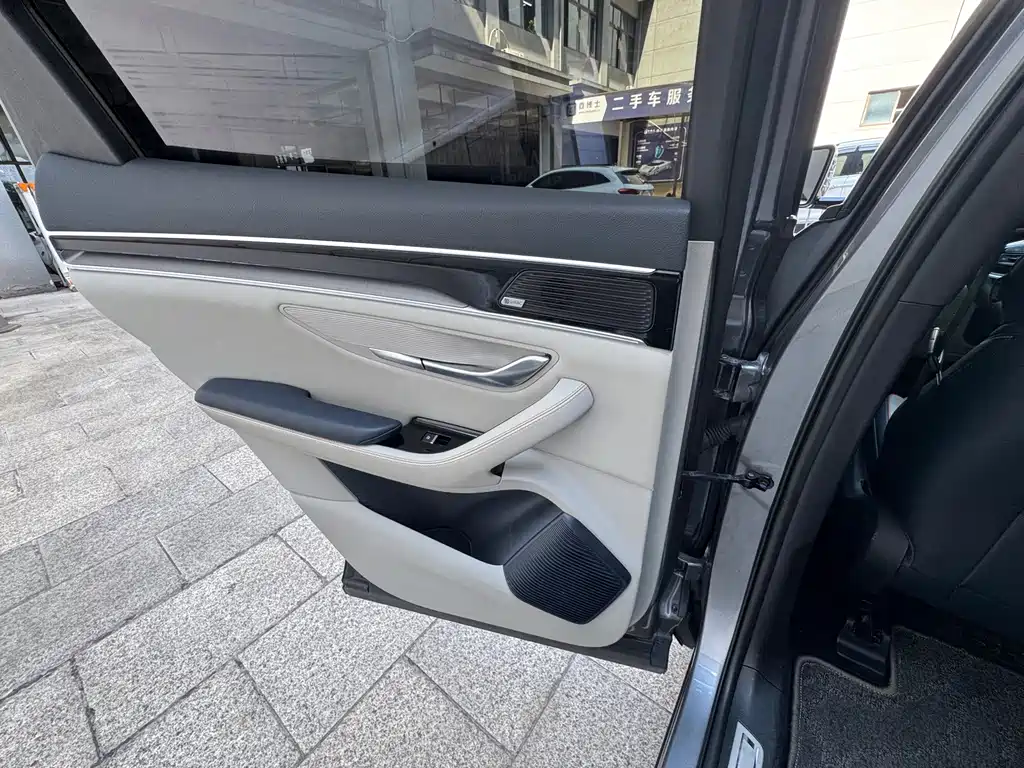 BYD PLUS New Energy — миниатюра 16