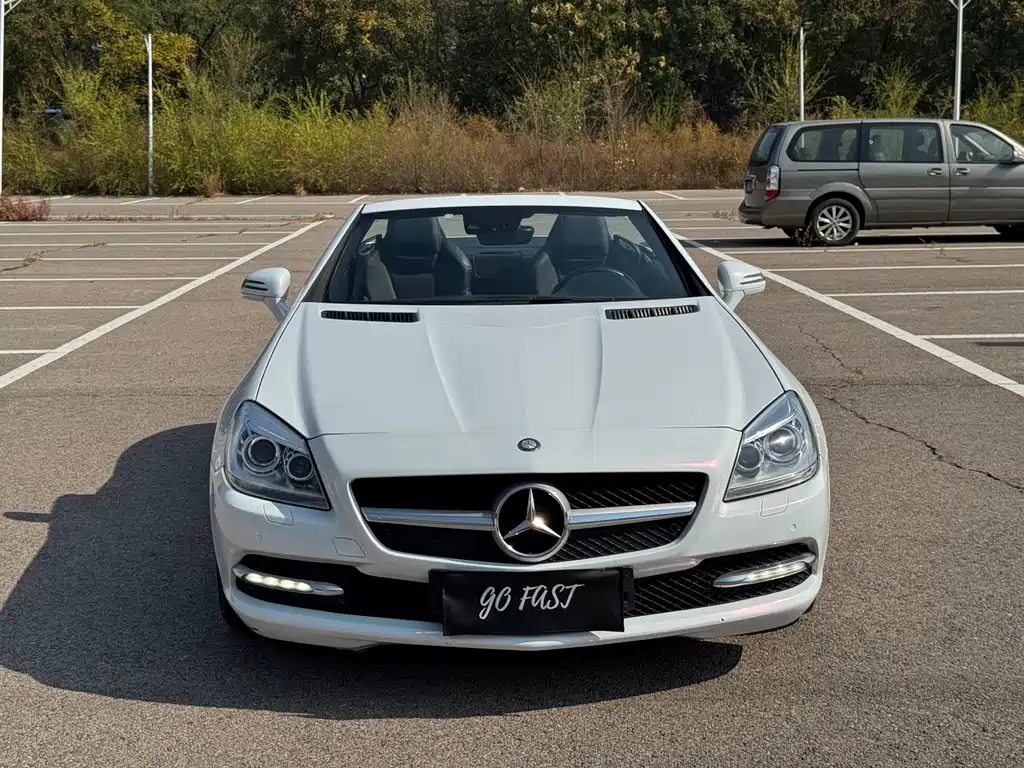 Mercedes-Benz SLK-Class — миниатюра 2