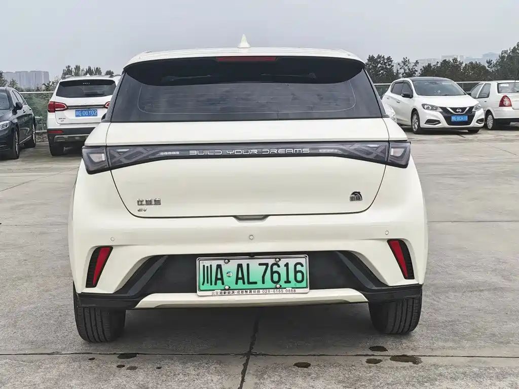 BYD Dolphin — миниатюра 6