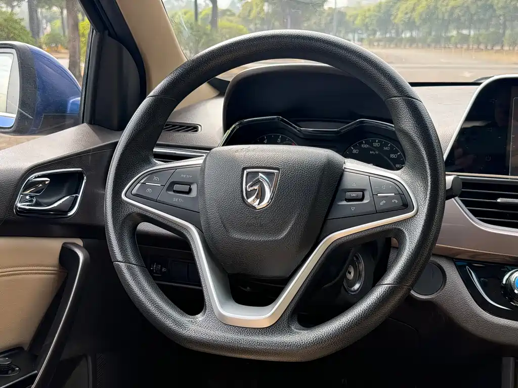 BAOJUN 310W