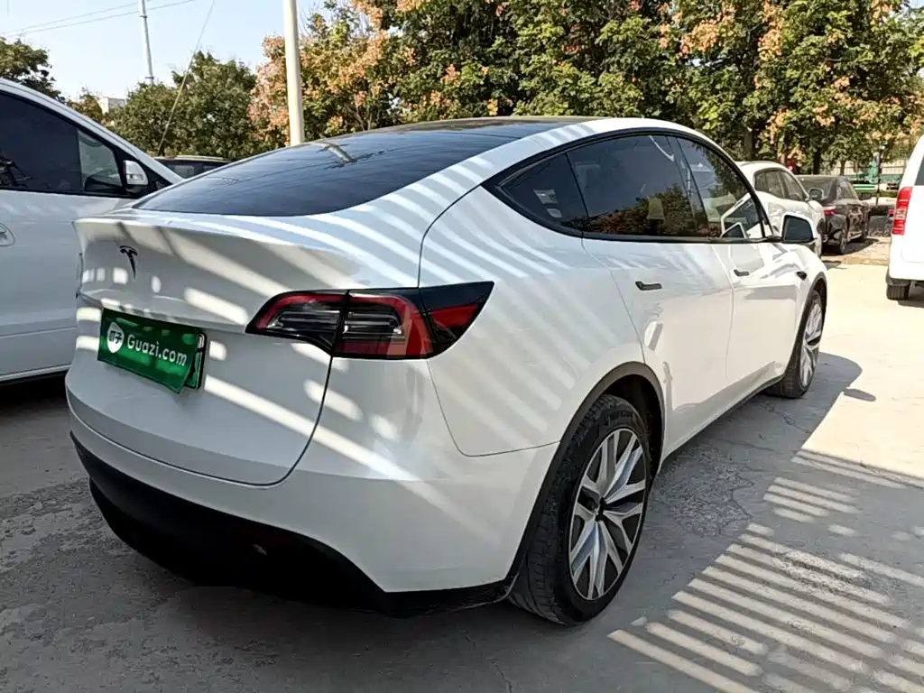Tesla Model Y — миниатюра 7