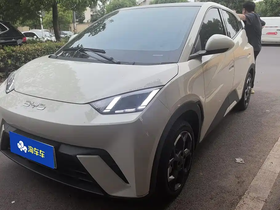 Byd Seagull 2024