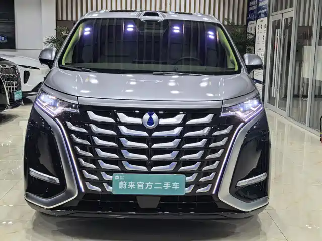 2025 Denza D9