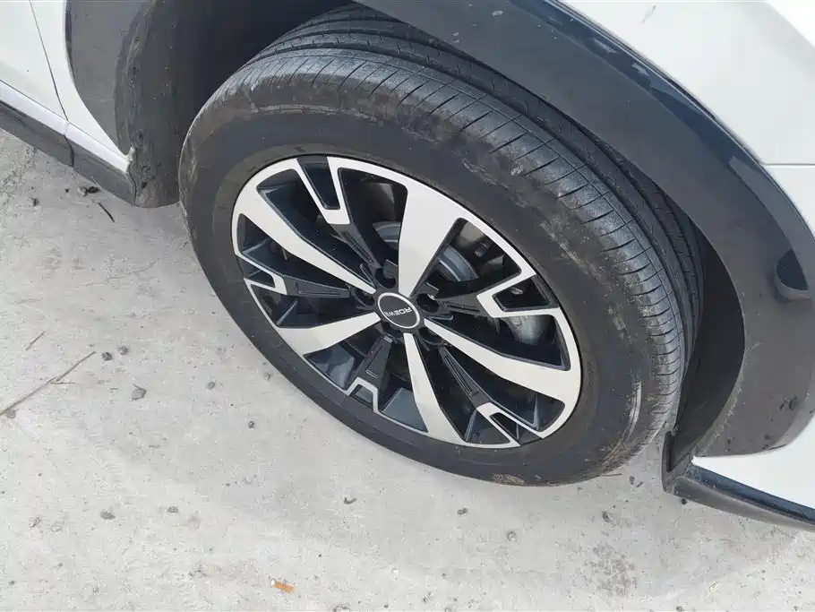 Roewe D5X DMH 2024 135