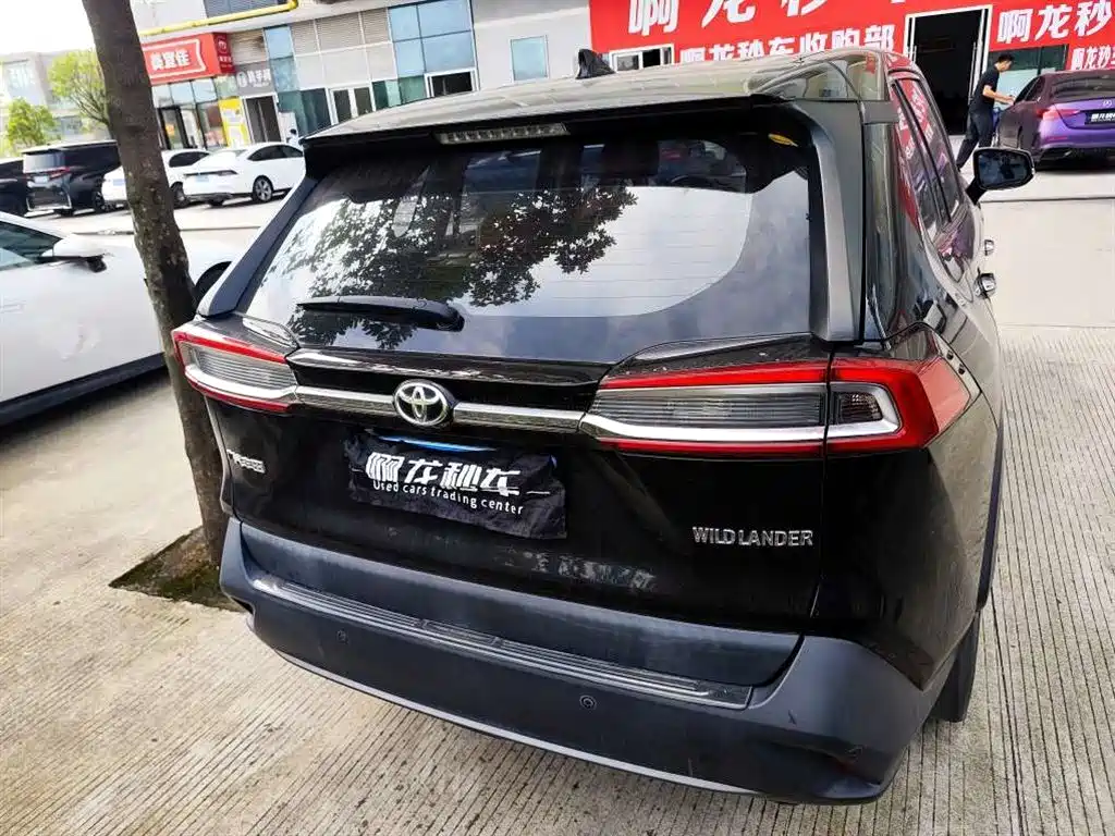 Toyota Wildlander — миниатюра 8