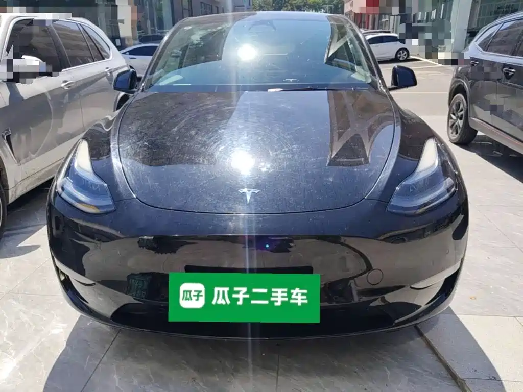 Tesla Model Y — миниатюра 3