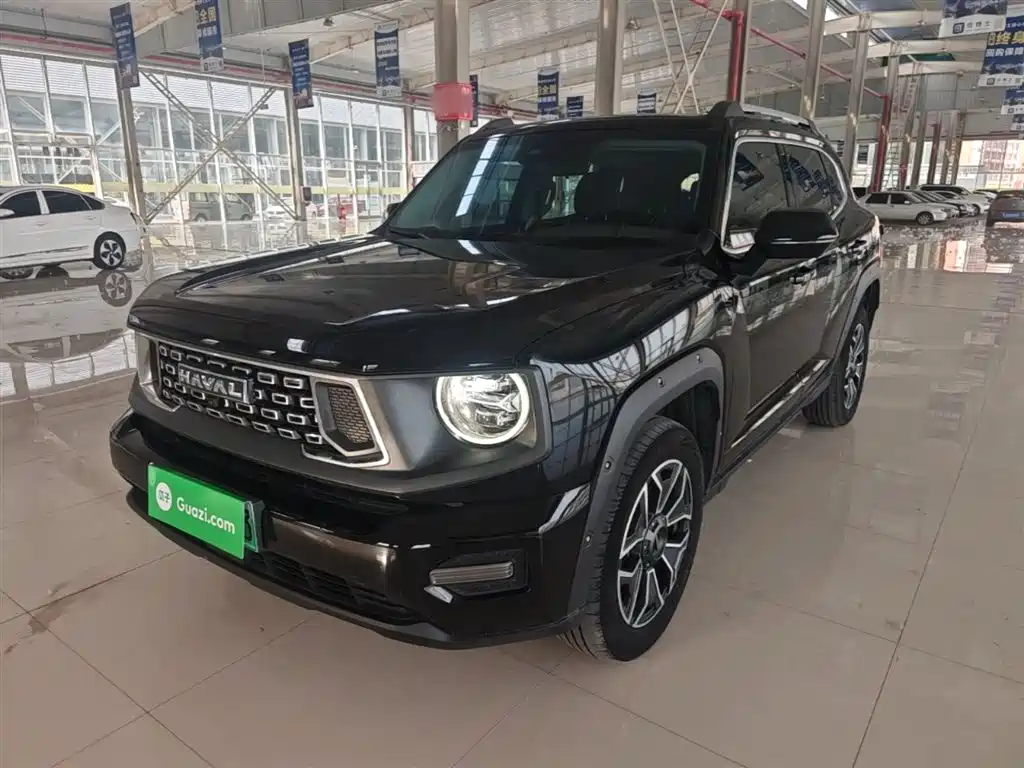 Haval 哈弗大狗 PLUS 新能源 2023