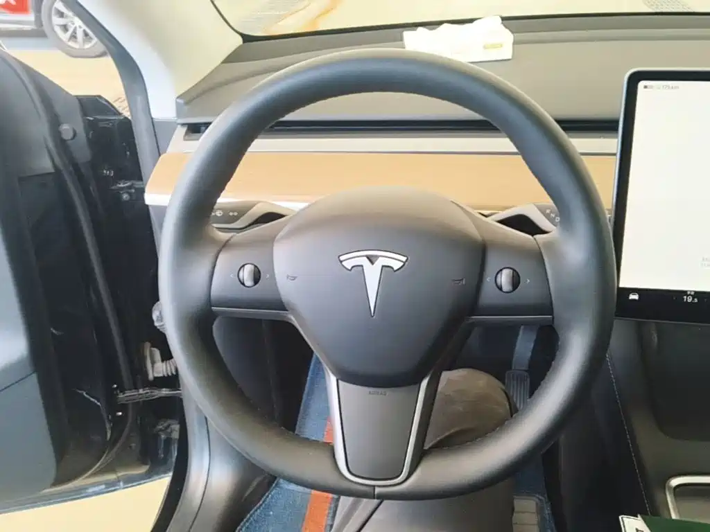 Tesla Model Y — миниатюра 11