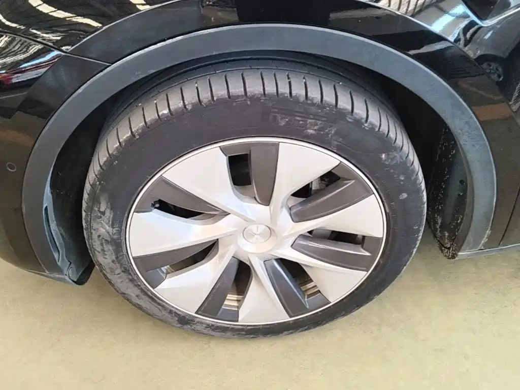 Tesla Model Y — миниатюра 23