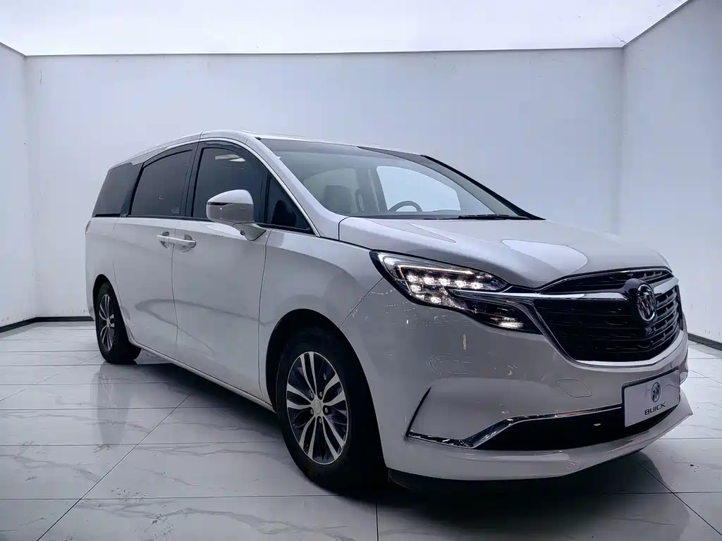 Buick GL8 — миниатюра 3