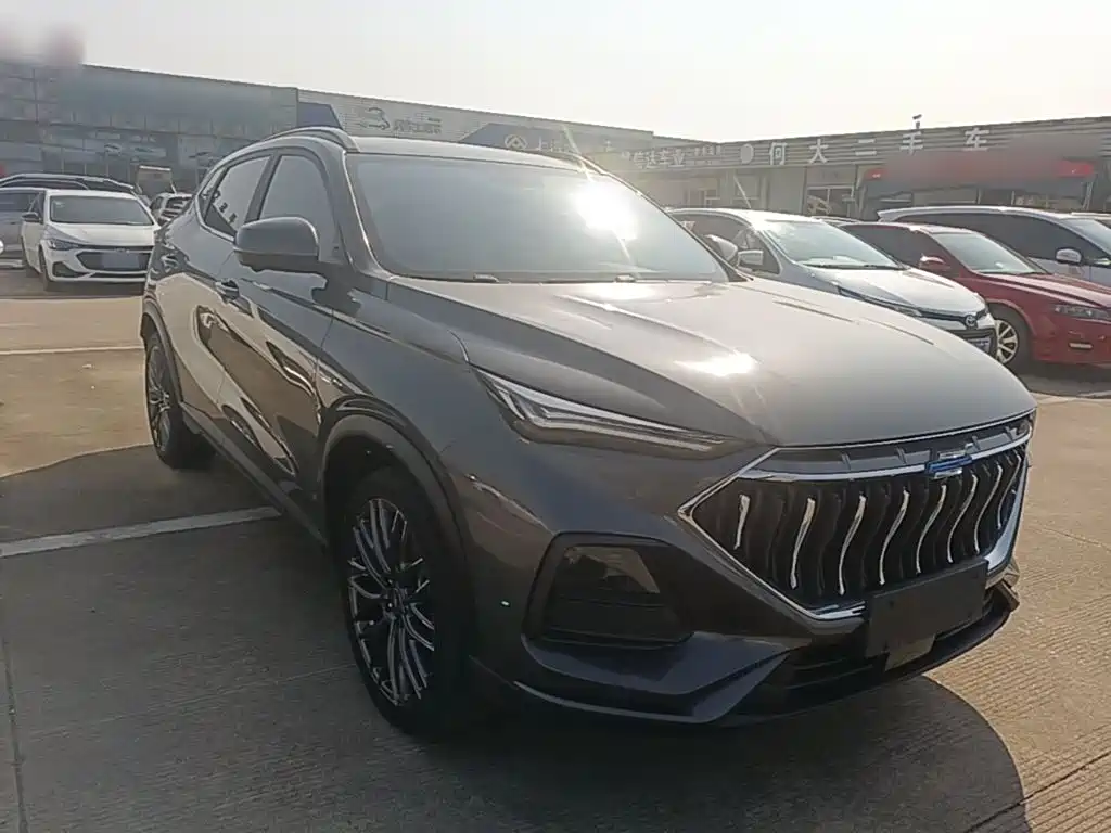 Oshan Oushang X5 — миниатюра 4