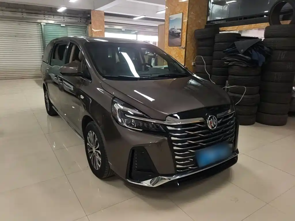 Buick GL8 — миниатюра 4