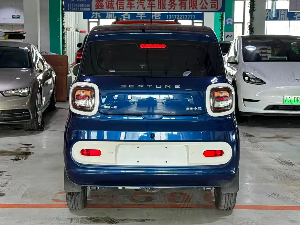 BESTUNE PENTIUM PONY