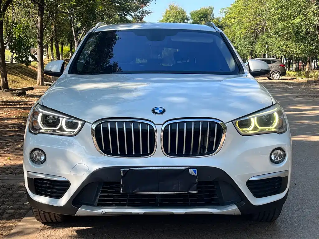 BMW X1 — миниатюра 2