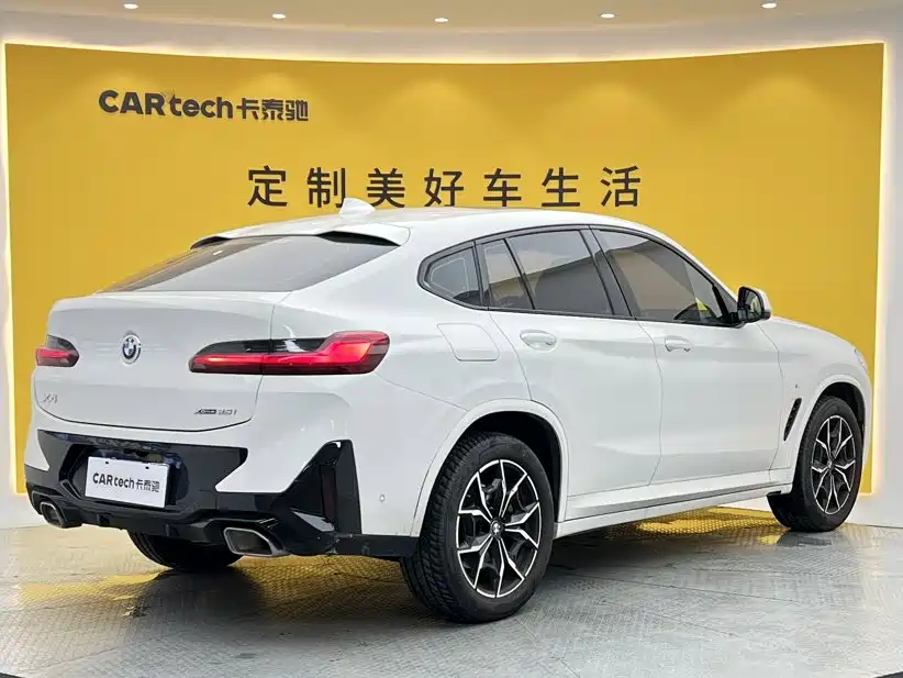 BMW X4 — миниатюра 4