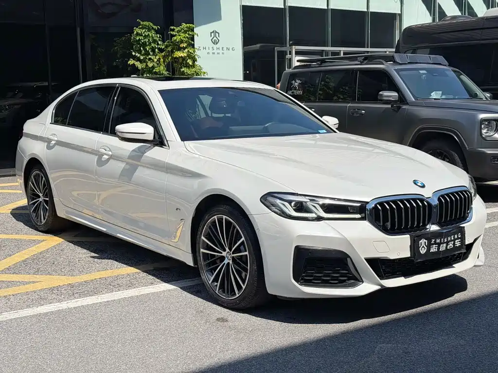 BMW 5 Series — миниатюра 3