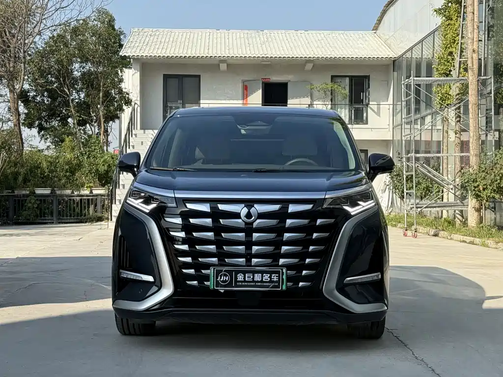 Denza Denza D9 — миниатюра 2