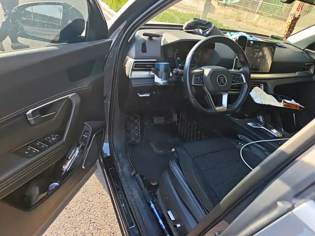 BYD Pro — миниатюра 17