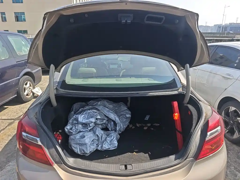 Buick Regal — миниатюра 19