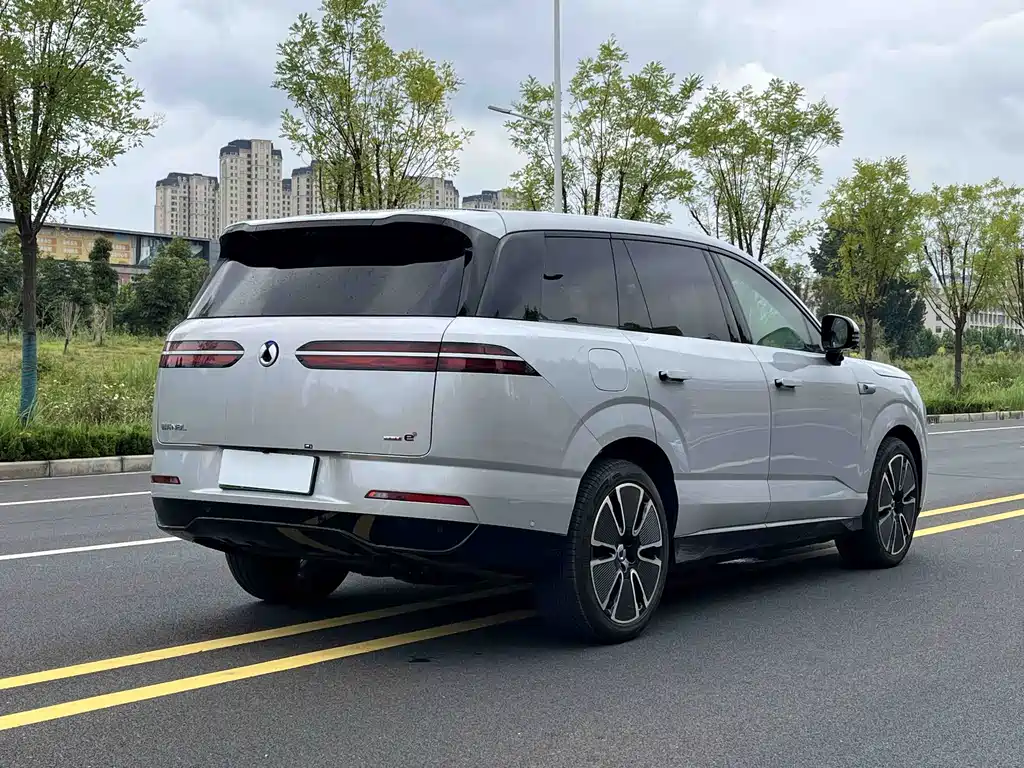 Denza Denza N8L — миниатюра 6