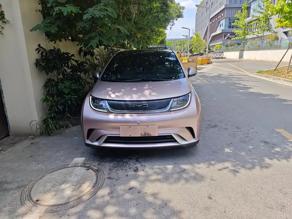 BYD Dolphin — миниатюра 2