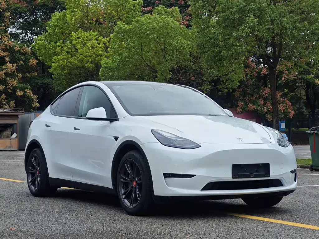 Tesla Model Y — миниатюра 3